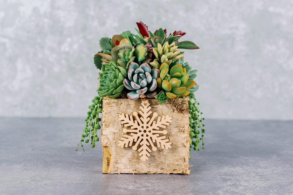 Birch Bark Succulent Arrangement with Snowflake Ornaments, Winter Holiday Centerpiece