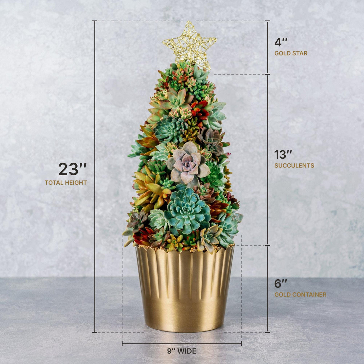 Living Succulent Christmas Tree, 23 Inch Tabletop Holiday Centerpiece, Gold Container, Real Succulent Tree Gift, Handmade San Diego