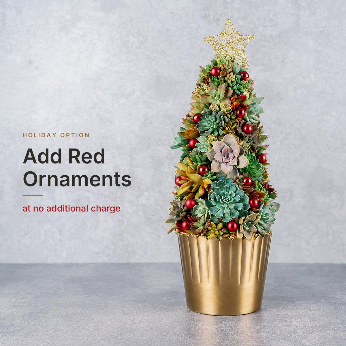 Living Succulent Christmas Tree, 23 Inch Tabletop Holiday Centerpiece, Gold Container, Real Succulent Tree Gift, Handmade San Diego