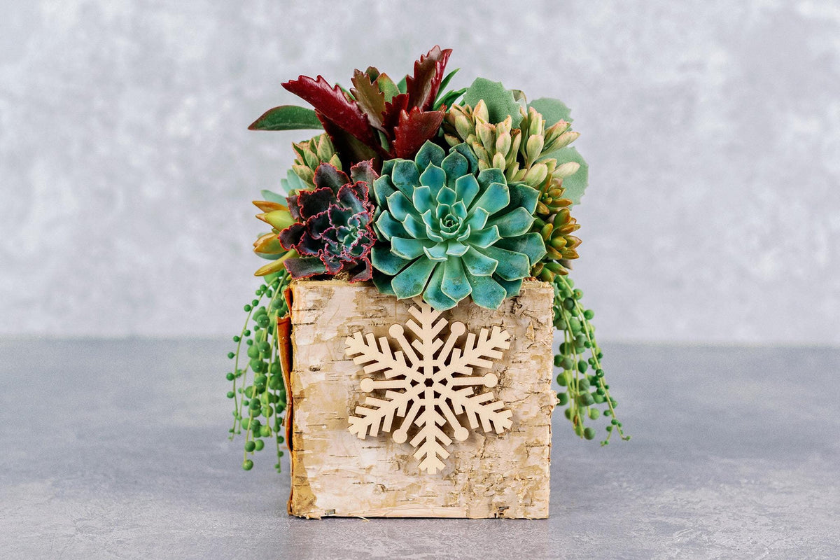 Birch Bark Succulent Arrangement with Snowflake Ornaments, Winter Holiday Centerpiece