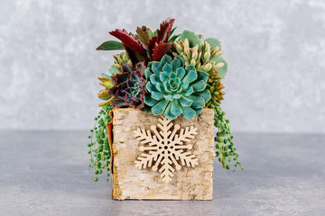 Birch Bark Succulent Arrangement with Snowflake Ornaments, Winter Holiday Centerpiece
