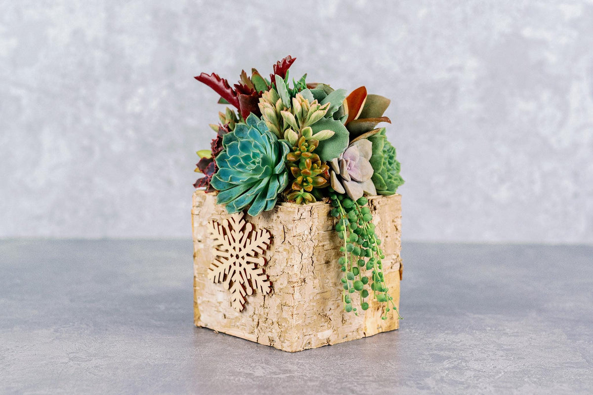 Birch Bark Succulent Arrangement with Snowflake Ornaments, Winter Holiday Centerpiece