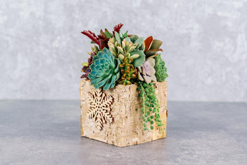 Birch Bark Succulent Arrangement with Snowflake Ornaments, Winter Holiday Centerpiece