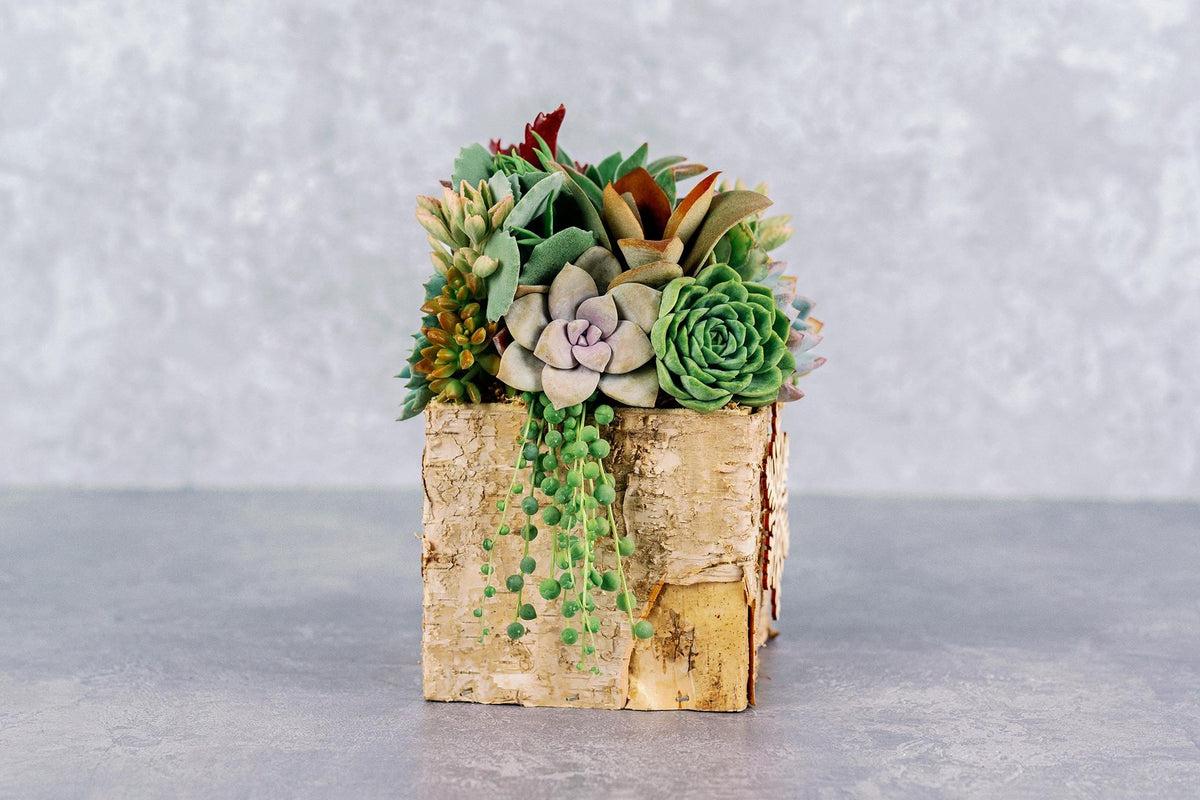 Birch Bark Succulent Arrangement with Snowflake Ornaments, Winter Holiday Centerpiece