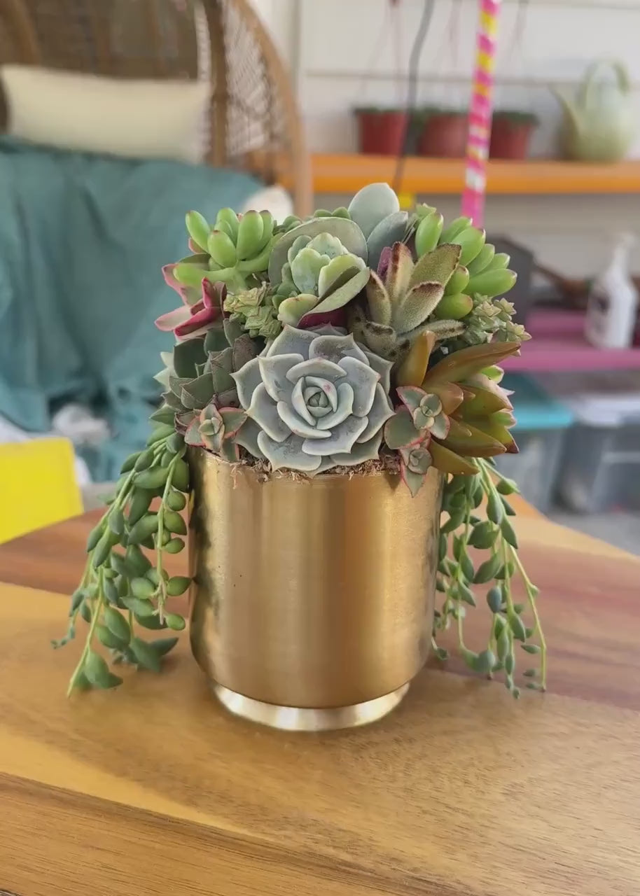 Small Gold Metal Footed Succulent Arrangement