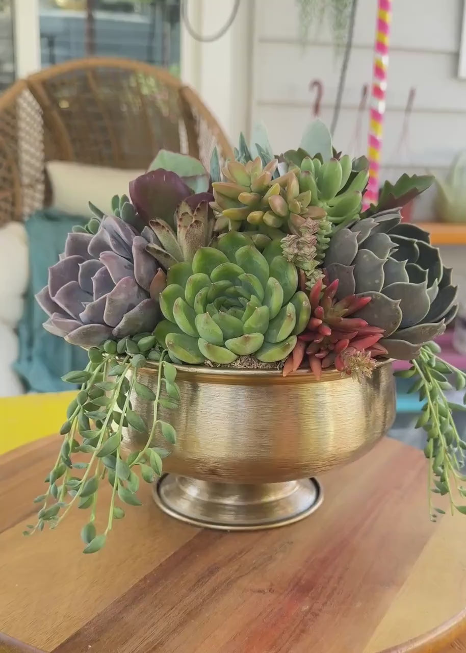 Brushed Gold Compote Succulent Arrangement Planter