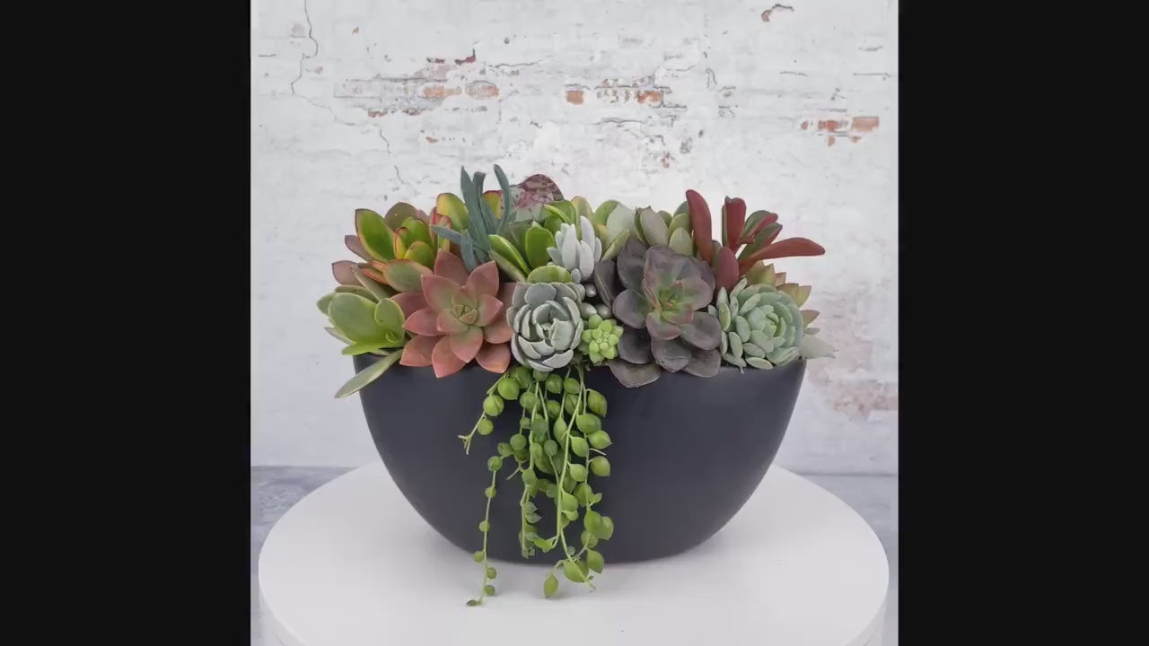 Black Boat Succulent Arrangement Planter: Modern Living Succulent Gift, Centerpiece for Weddings & Events, Housewarming Gift