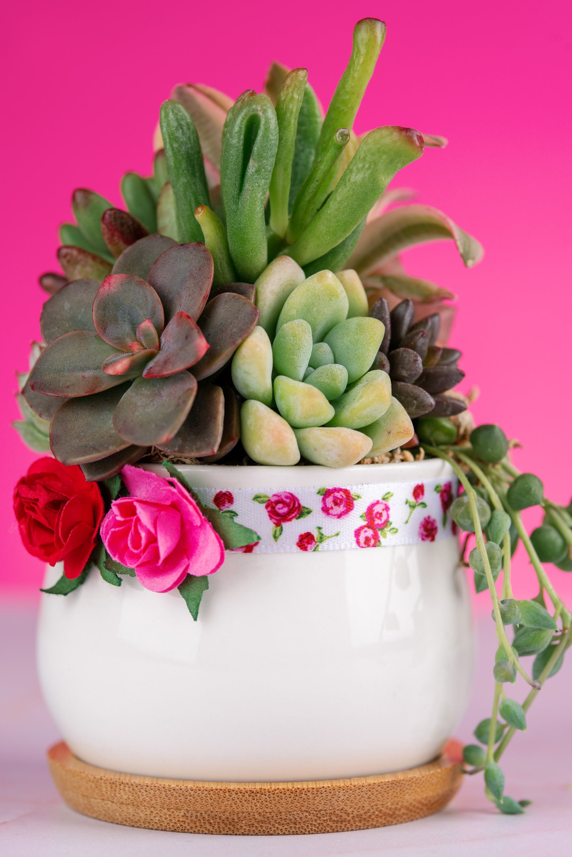 pink succulent pot Red Rose Mini Succulent Arrangement