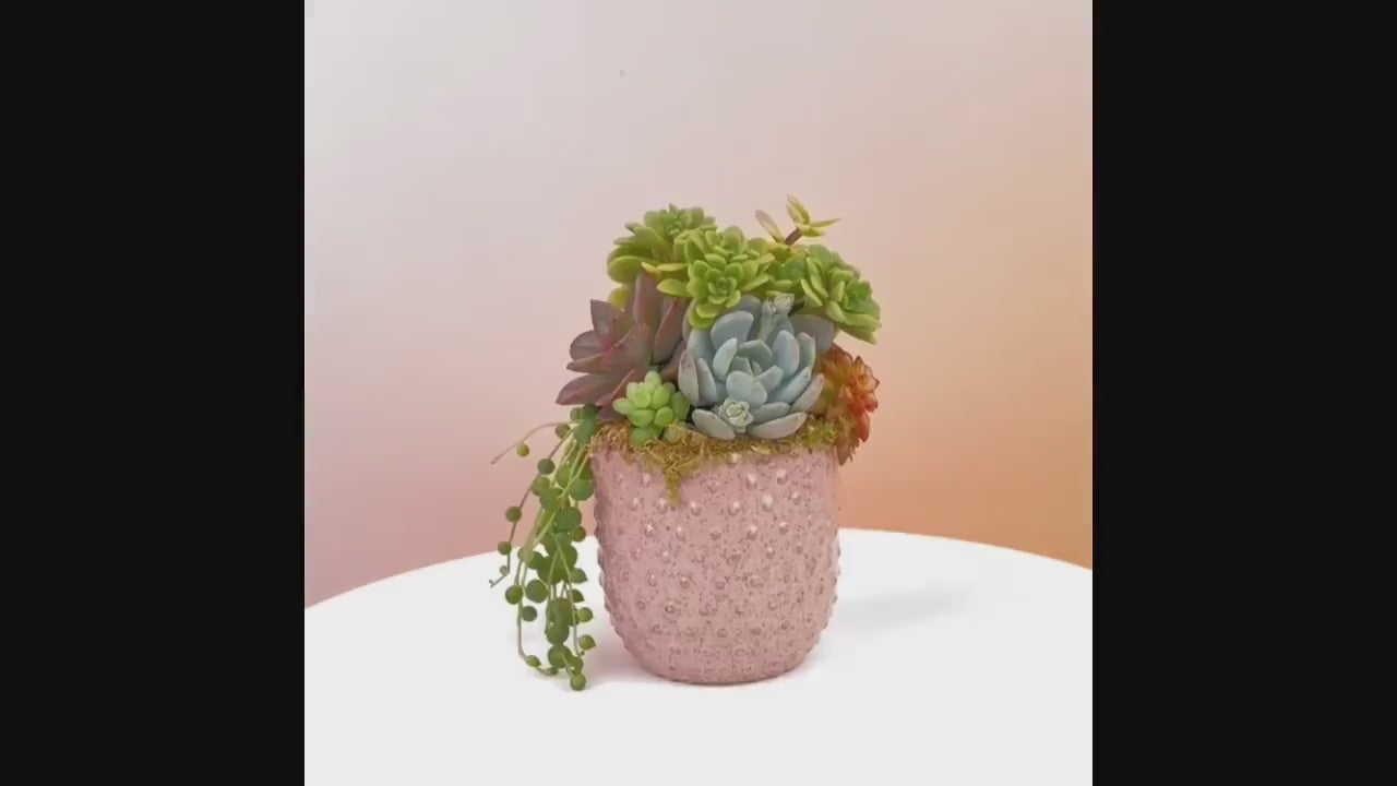 Mini Pink Succulent Arrangement Planter | Client Gift, Party Favor, Birthday, House Warming Gift for Plant Lovers | Gift for Mom