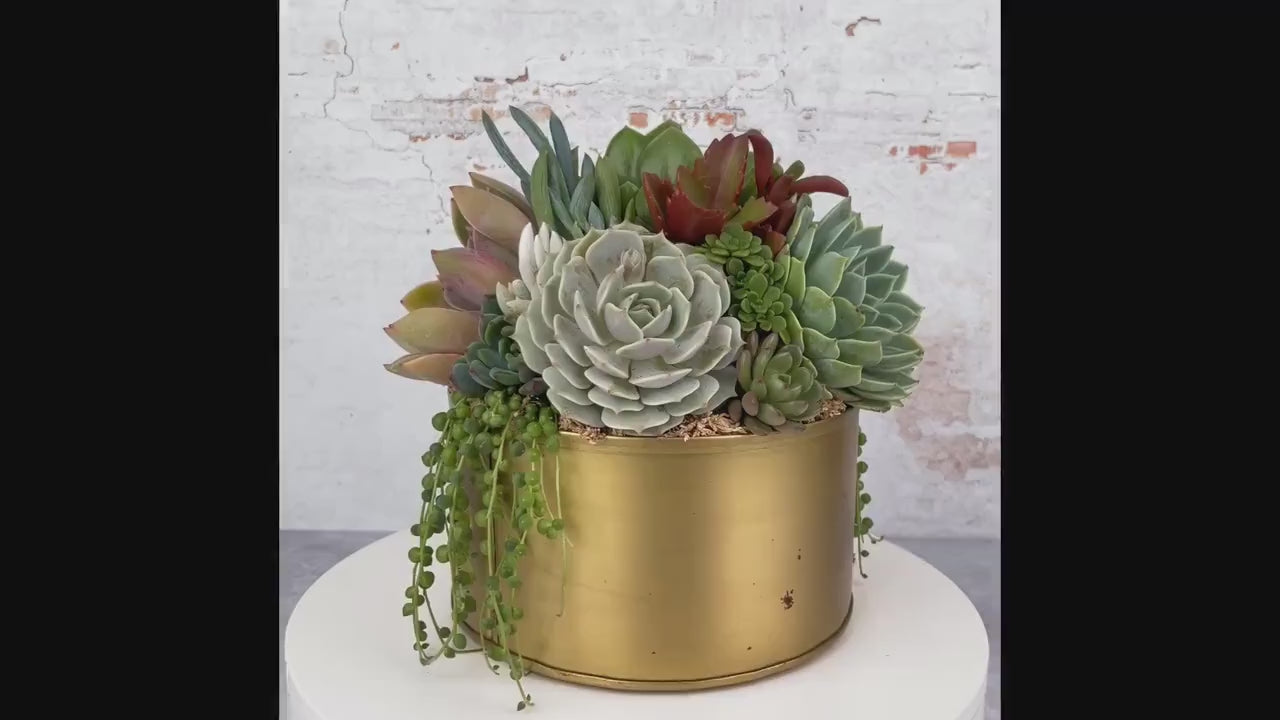 Gold Metal Bowl Succulent Arrangement Planter: Modern Living Succulent Gift, Centerpiece for Weddings & Events, Housewarming Gift