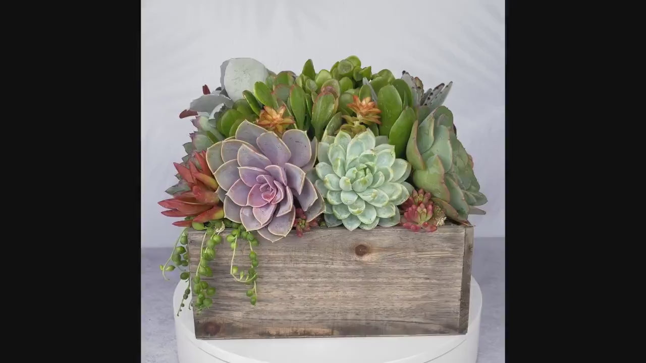 Christmas Holiday Rustic Wood Square Succulent Arrangement Planter: Winter Holiday Centerpiece or Home Decor