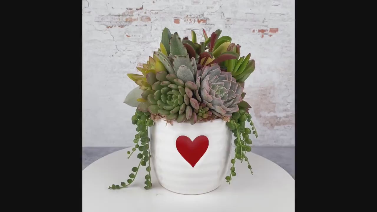 Red Heart Love Succulent Arrangement Valentines Day Gift: Living Succulent Gift, Centerpiece for Weddings & Events, Housewarming Gift