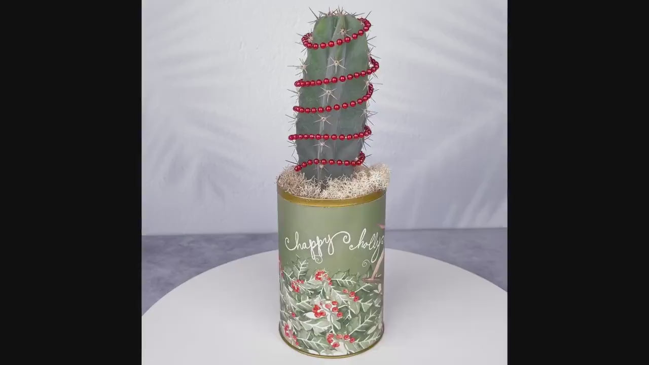 Christmas Cactus Surfing Santa Holiday Can Arrangement | Winter Holiday Gift for Hostess, Housewarming, and Teachers