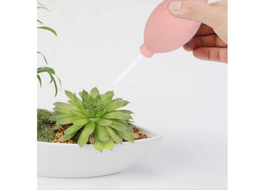 Air Blower Succulent Cleaning Tool