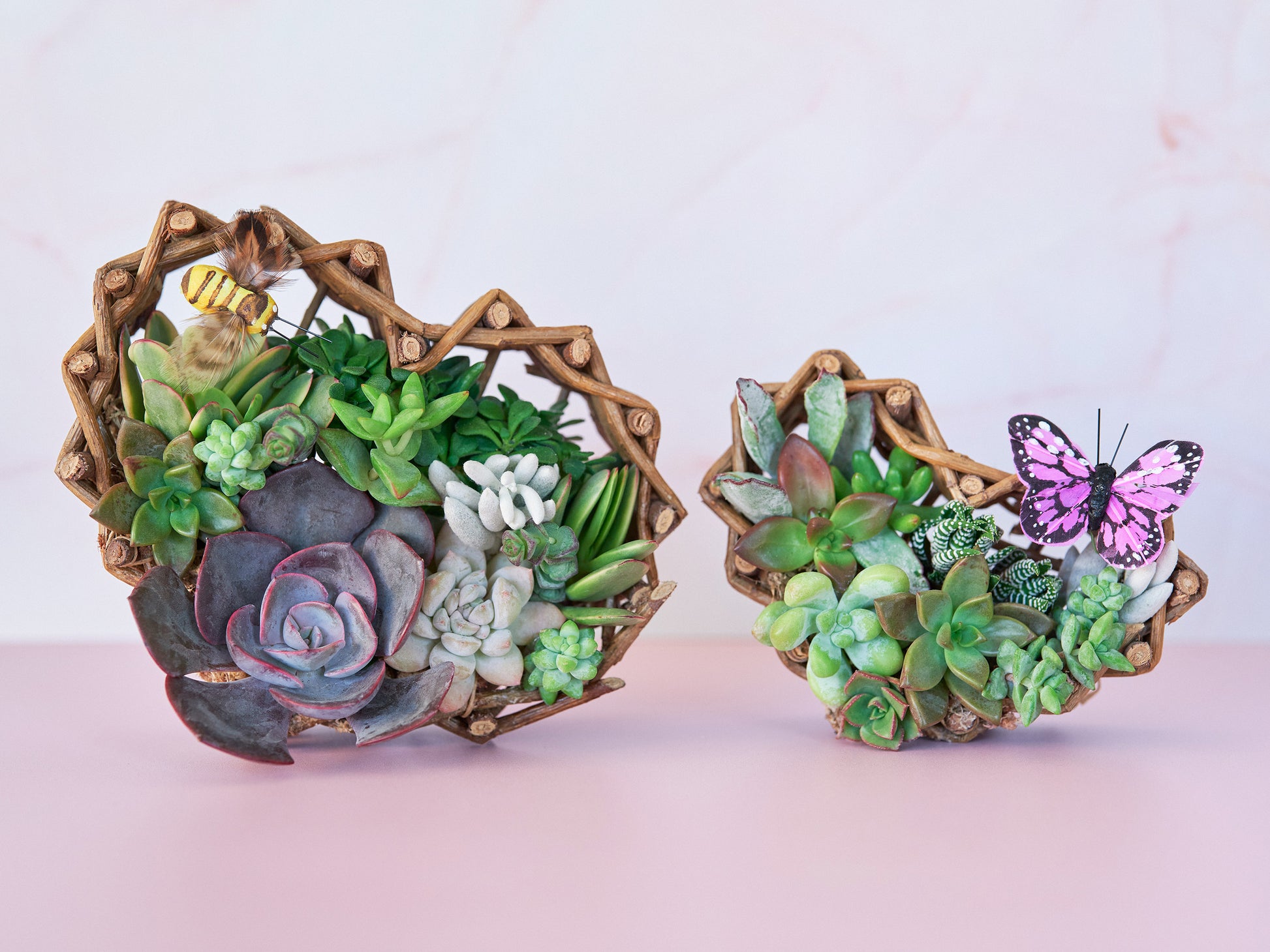 heart succulent planter Small Black Succulent Floral Arrangement