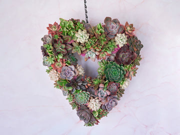 Heart Succulent Moss Wreath