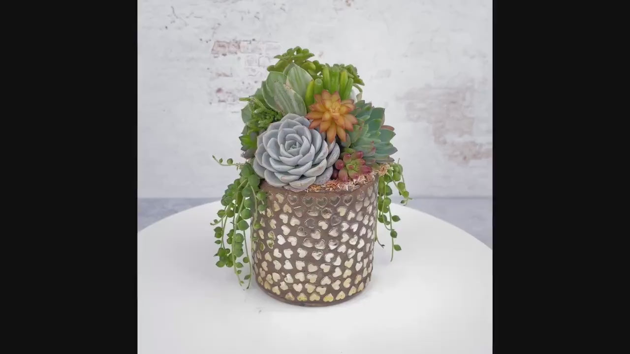Hammered Hearts Living Succulent Arrangement Gift | Birthday, Celebration, House Warming Living Gift for Plant Lovers | Gift for Mom