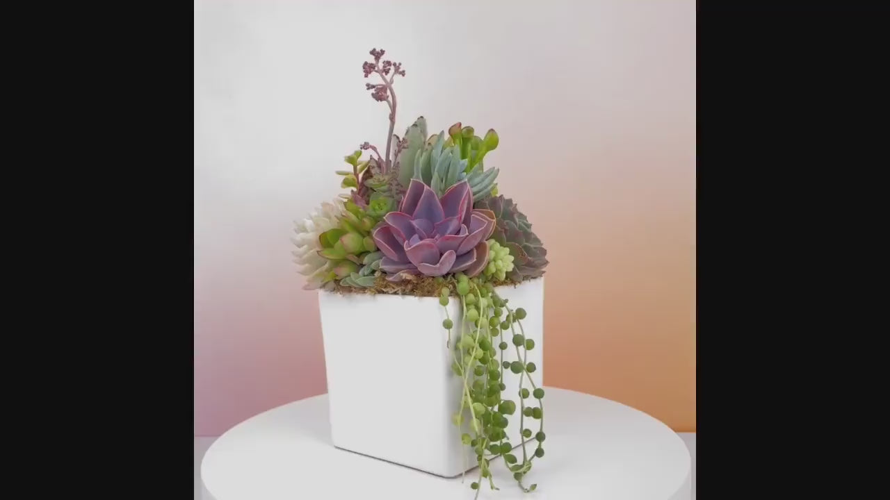 White Cube  Ceramic Succulent Arrangement Planter: Modern Living Succulent Gift or Centerpiece for Weddings & Events