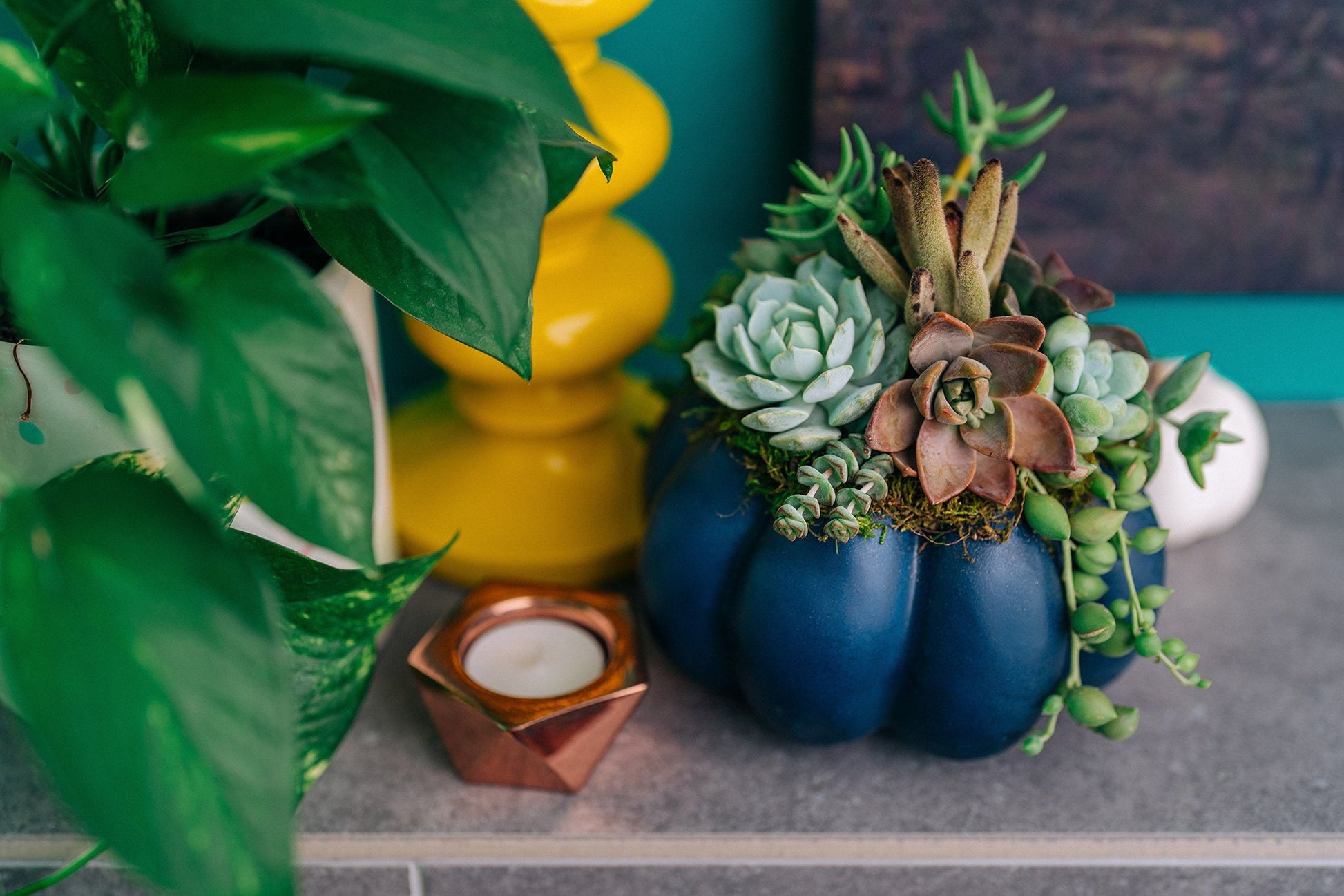 Medium Navy Blue Succulent Pumpkin | Fall Gift for Housewarming & Hosts | Autumn Table Decor | Halloween- Thanksgiving Decor