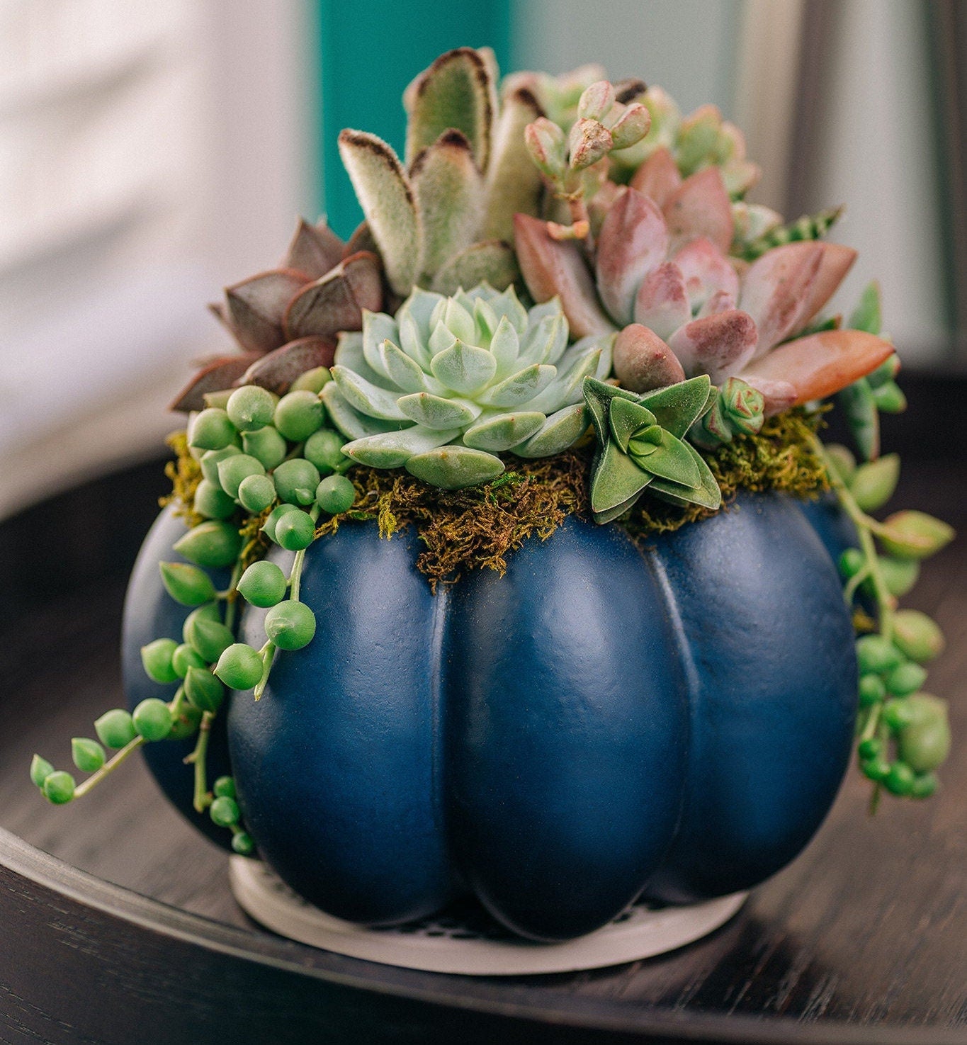 Medium Navy Blue Succulent Pumpkin | Fall Gift for Housewarming & Hosts | Autumn Table Decor | Halloween- Thanksgiving Decor