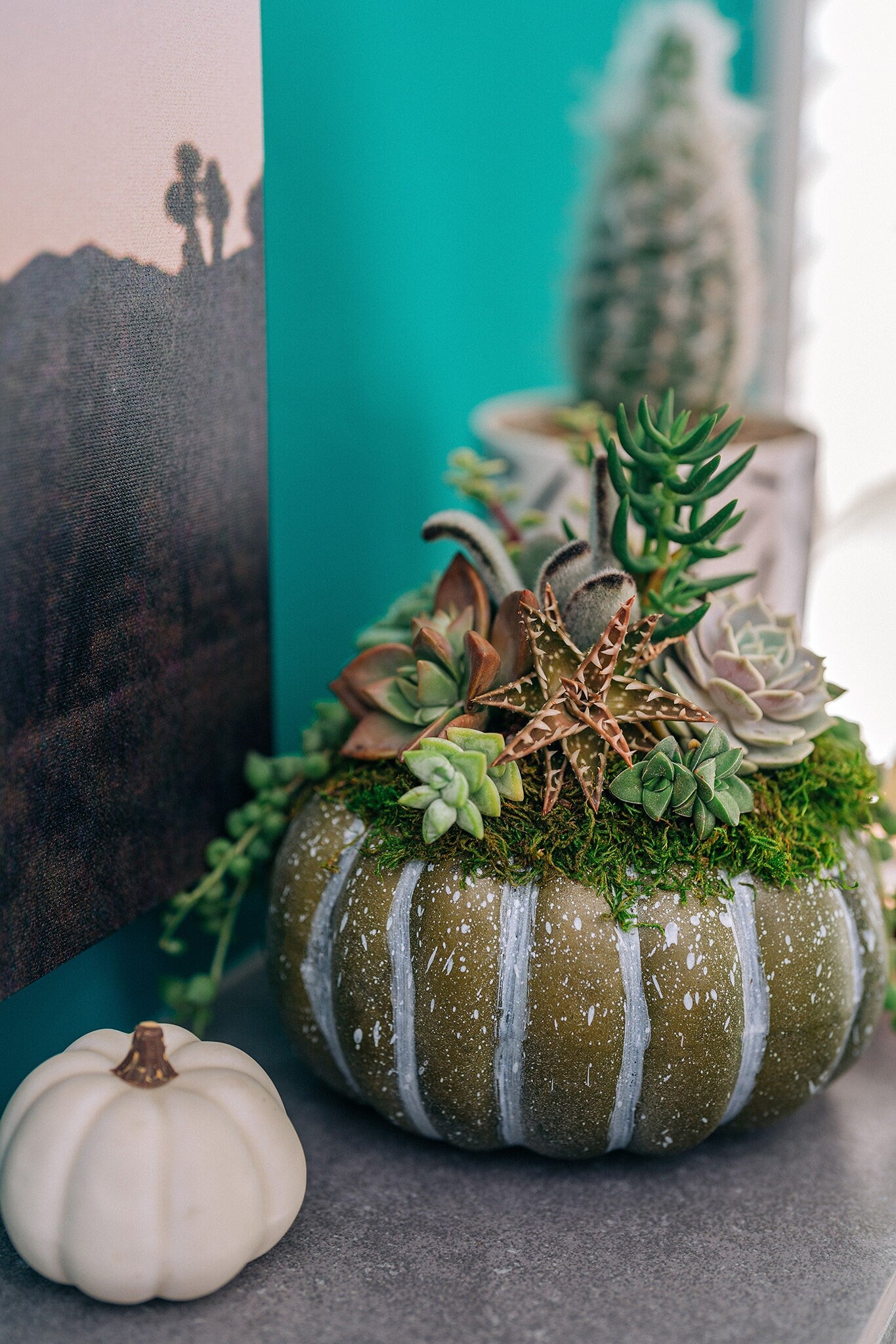 Medium Blue-Green Succulent Pumpkin | Fall Gift for Housewarming & Hosts | Autumn Table Decor | Halloween-Thanksgiving Decor