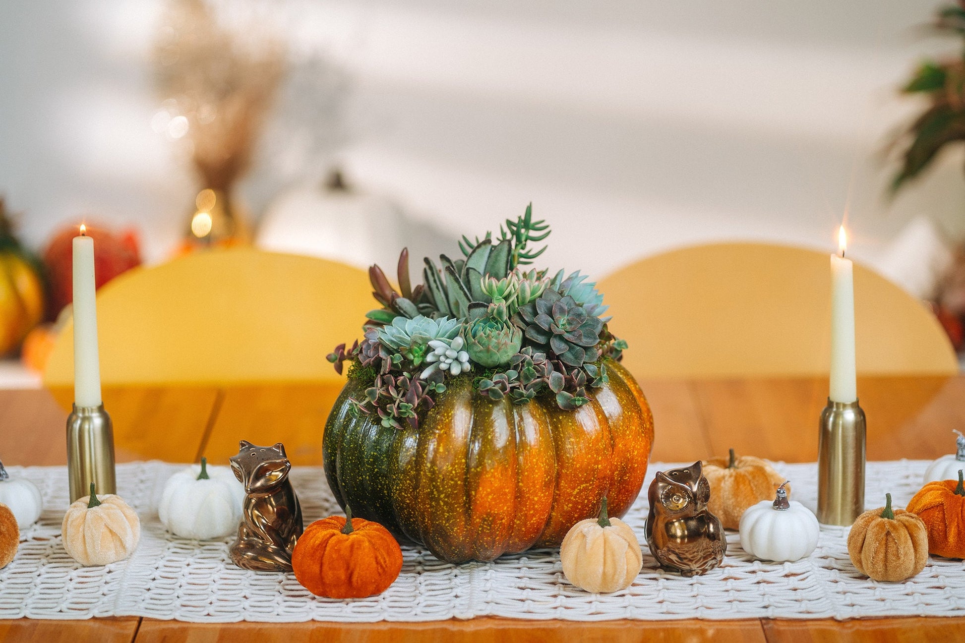 Orange-Green Faux Pumpkin with Living Succulents | Fall Gift for Housewarming & Hosts | Autumn Table Decor | Thanksgiving-Halloween