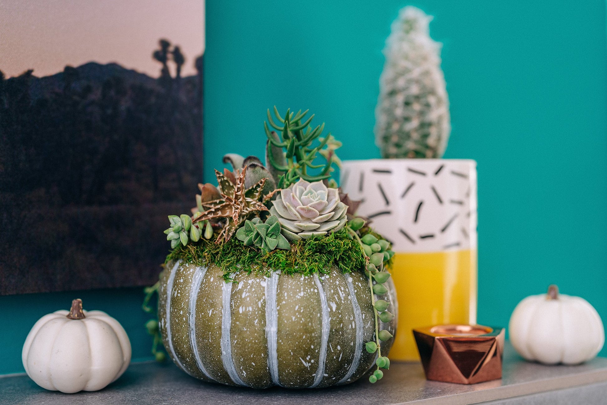 Medium Blue-Green Succulent Pumpkin | Fall Gift for Housewarming & Hosts | Autumn Table Decor | Halloween-Thanksgiving Decor