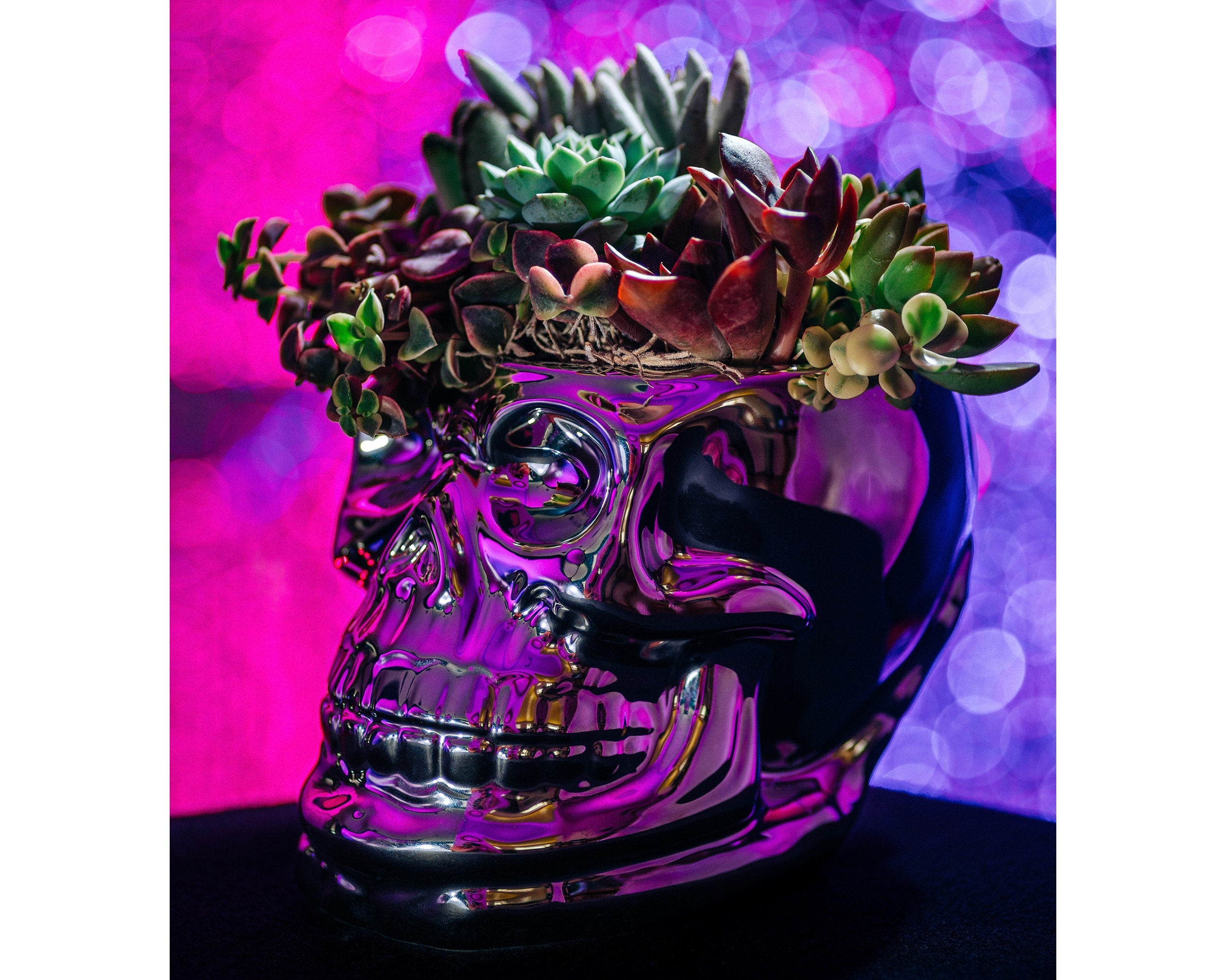 Chrome Skull Succulent Planter Arrangement for Halloween & Day of Dead Home  Decor, Fall Decorating