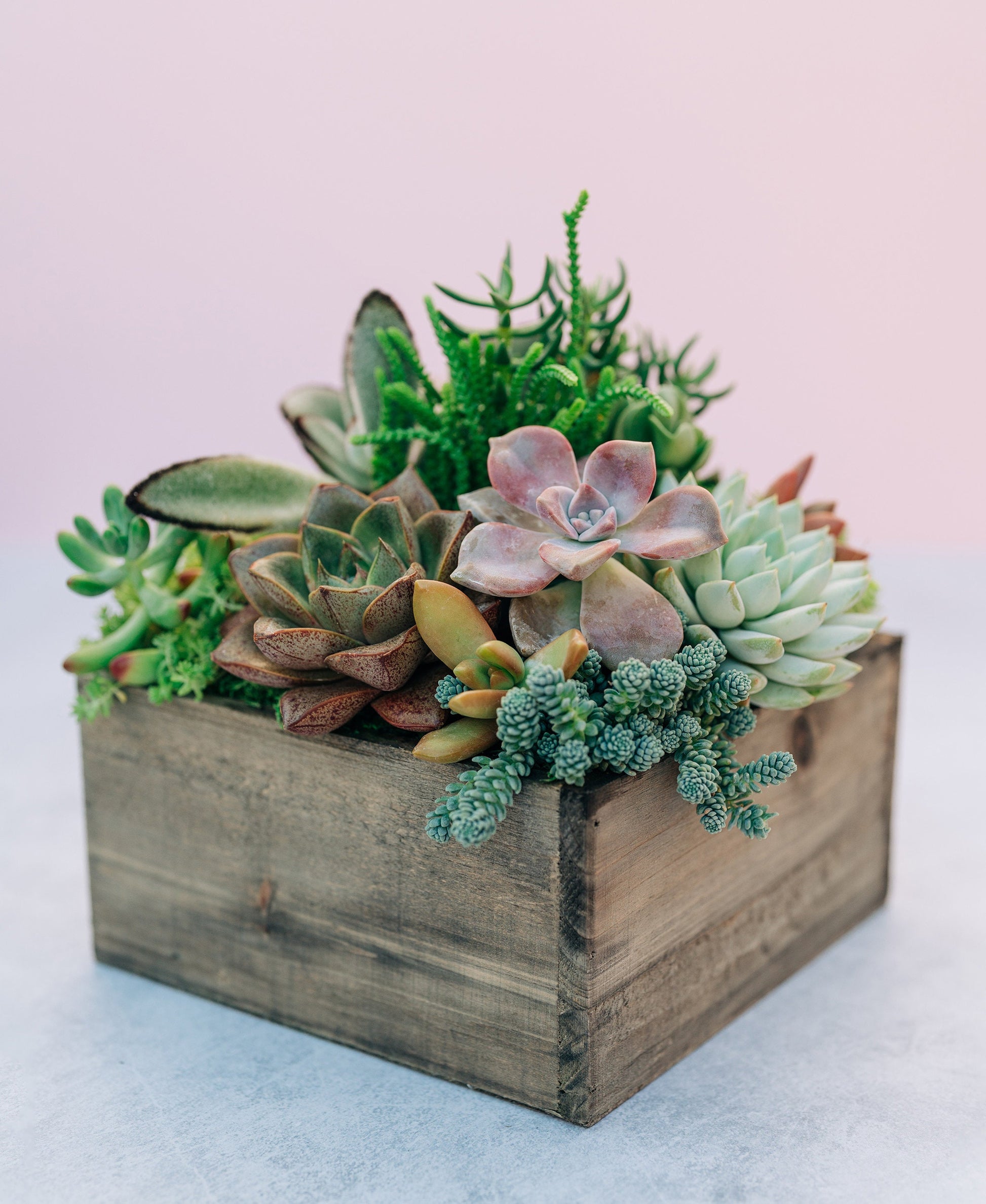 succulent square Rustic Wood Square Succulent Arrangement Planter