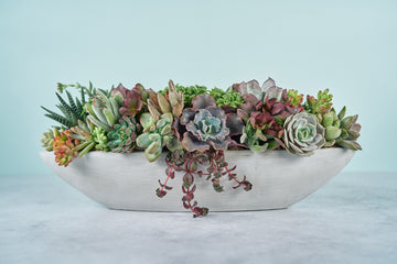 Long Concrete Boat Succulent Arrangement | Floral Centerpiece | Earth Friendly Event Table Decor
