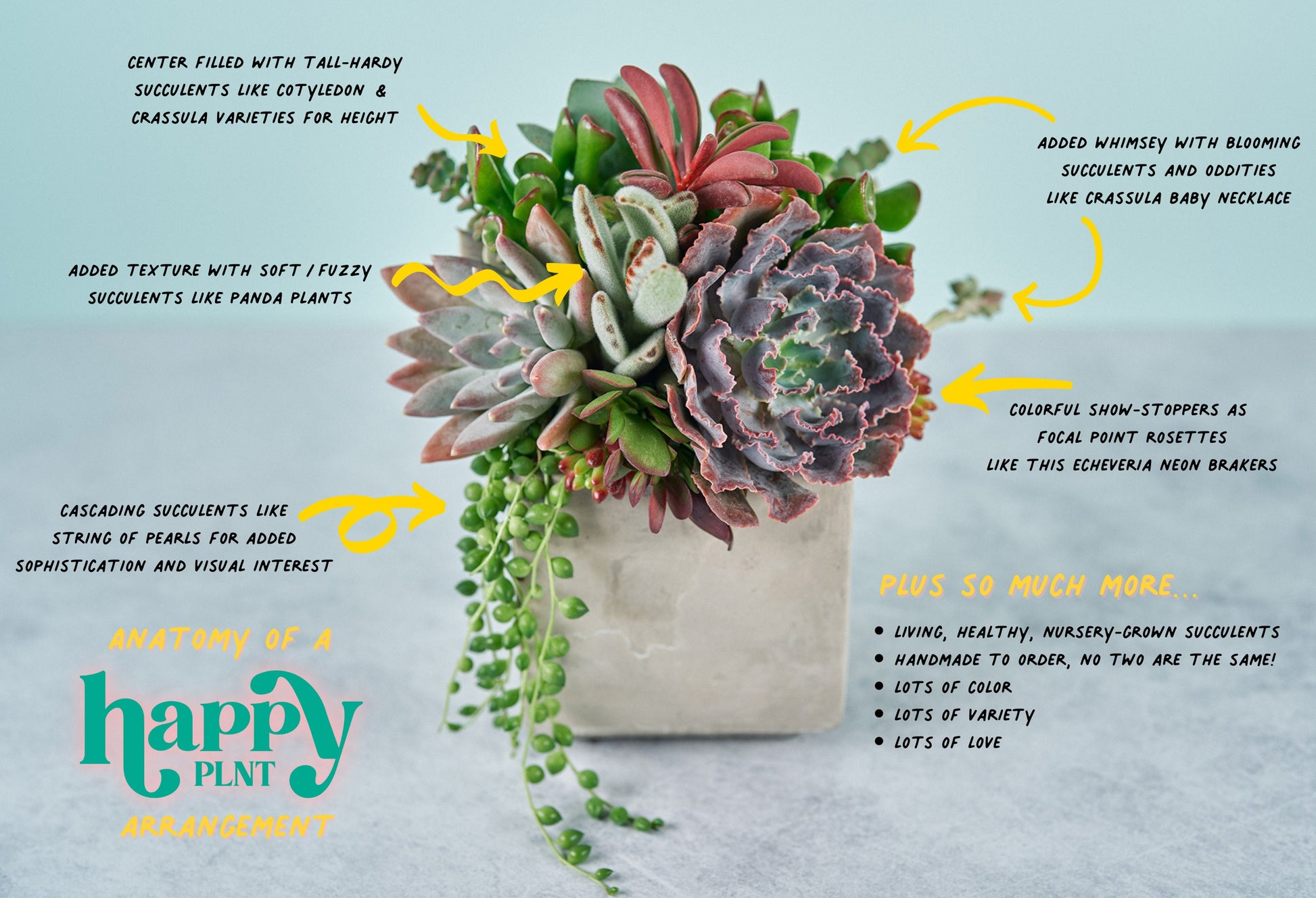 White Rectangle Succulent Planter Arrangement: Living Succulent Centerpiece for Weddings & Events or Gift