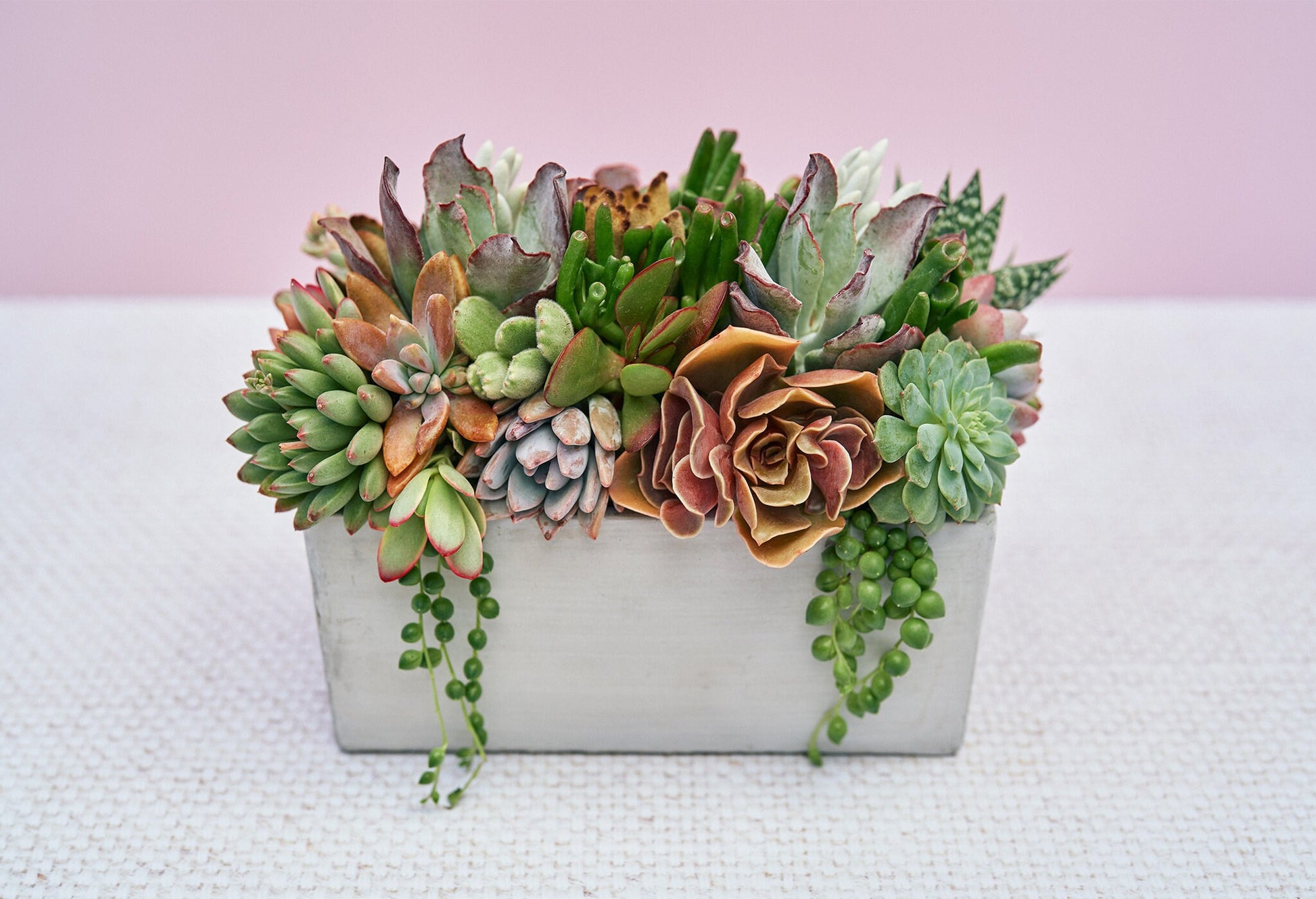Concrete Rectangle Succulent Arrangement Gift | Alt Floral Wedding Event Centerpiece | Mother's Day Gift