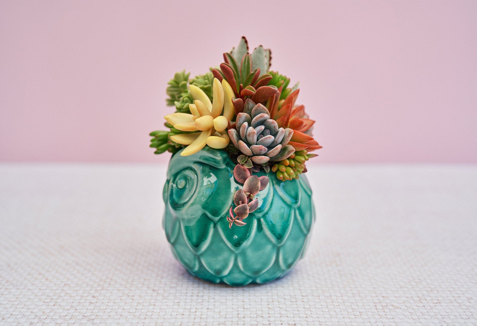 Teal Owl Succulent Arrangement Gift | Birthday, Celebration, Sympathy, House Warming Living Gift for Plant Lovers | Gift for Mom