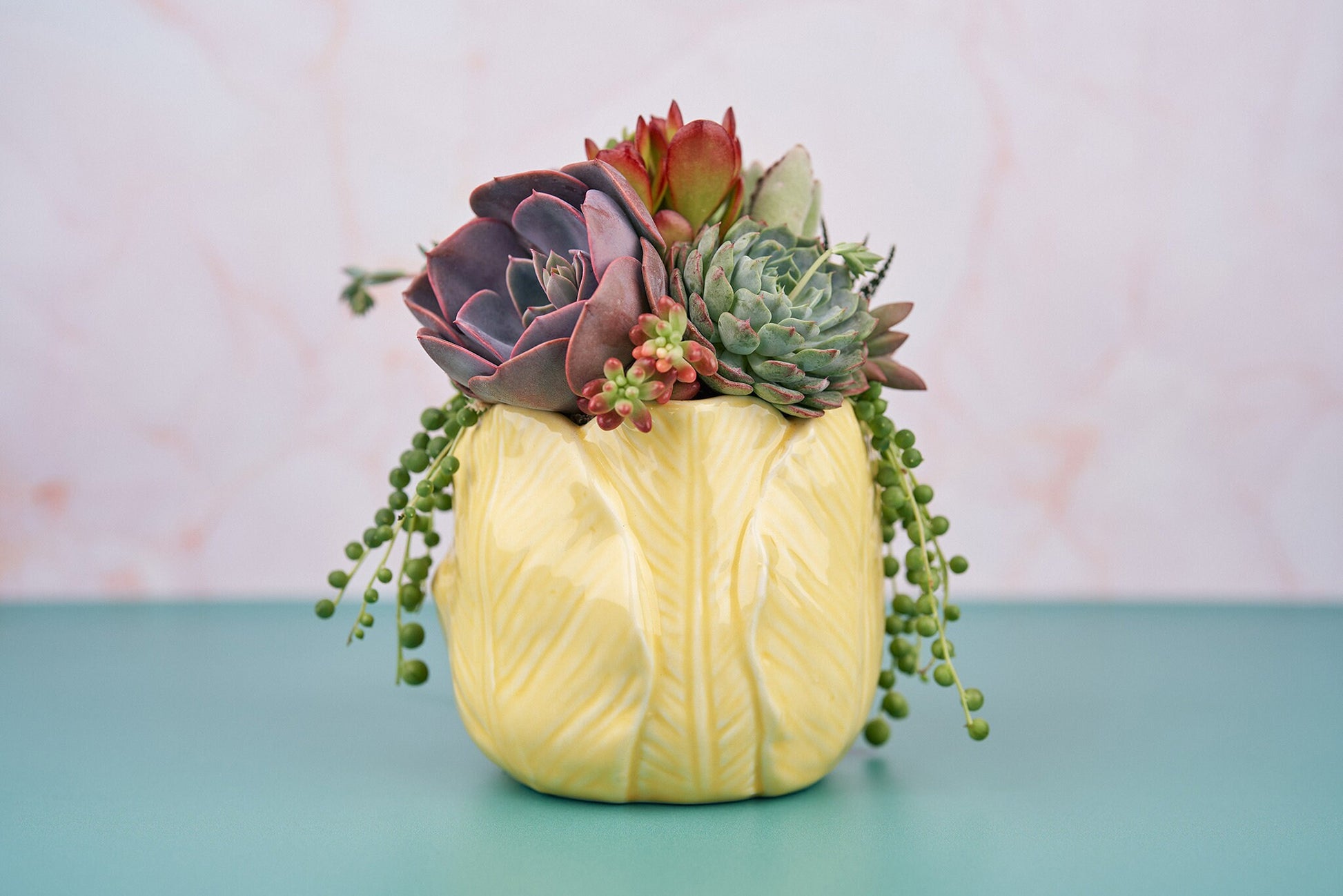 yellow succulent planter Yellow Tulip Succulent Arrangement Planter