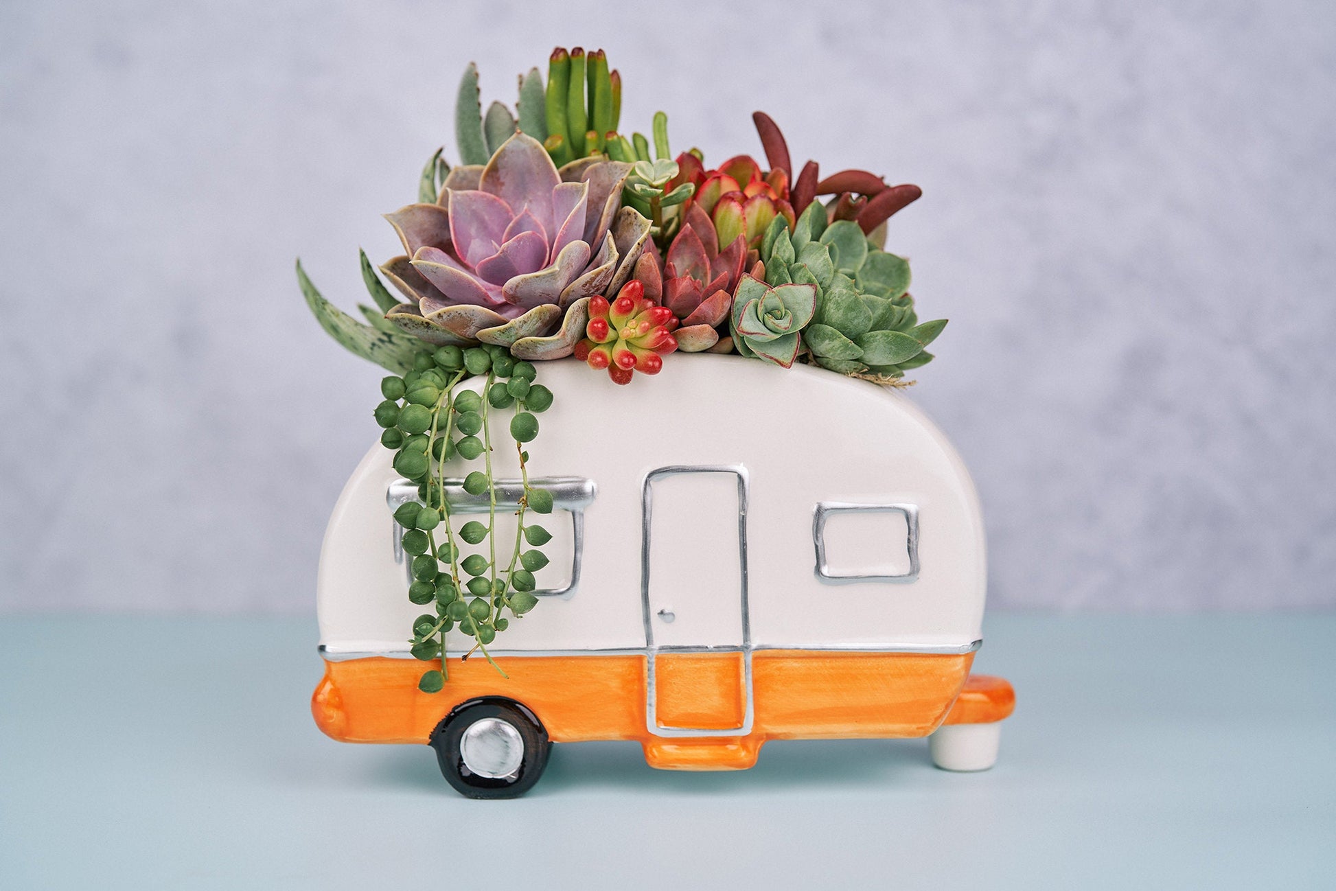 Retro Camper RV Living Succulent Arrangement Gift | Birthday, Celebration, Sympathy, House Warming Living Gift for Plant Lovers