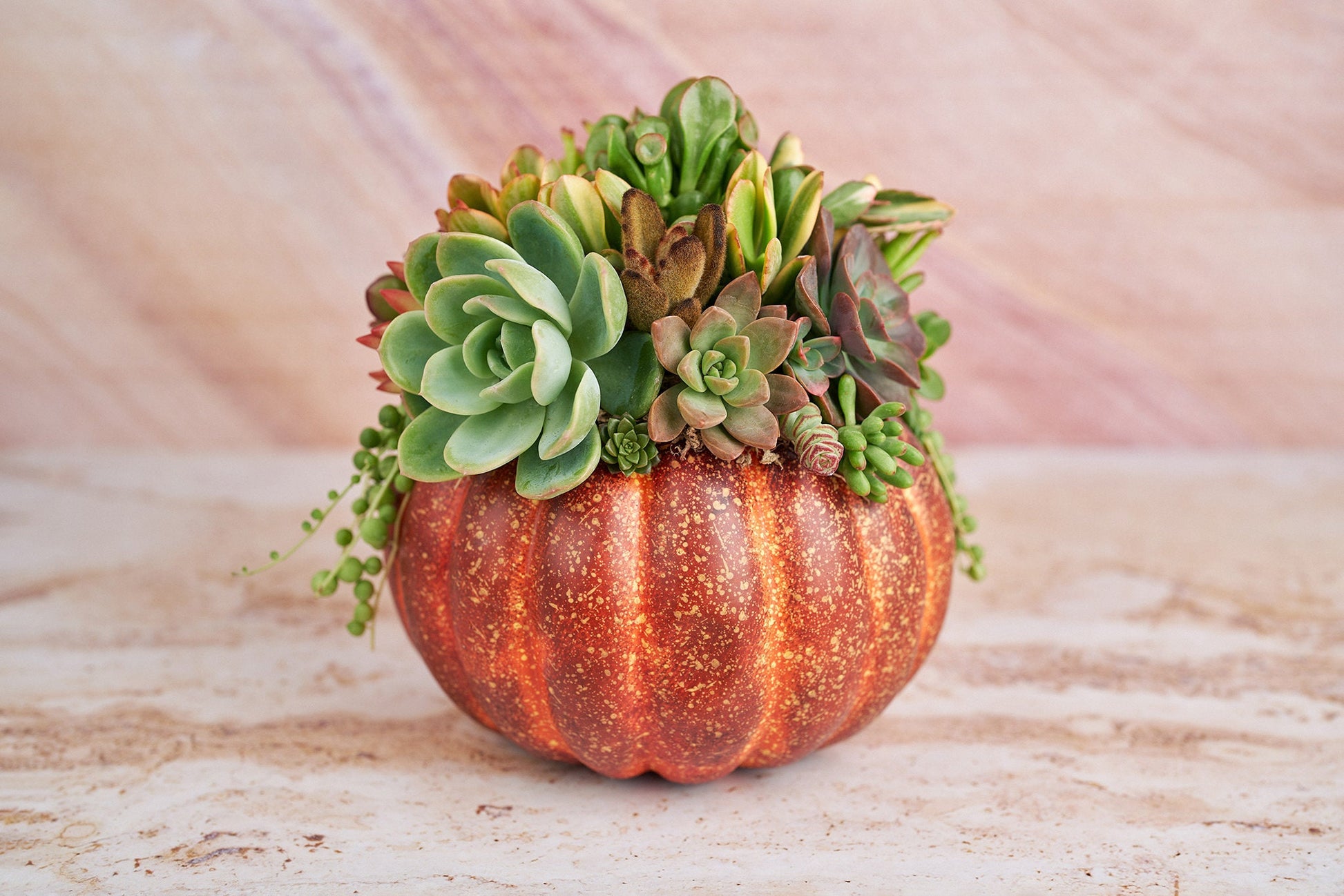 Large Red-Orange Succulent Pumpkin | Fall Gift for Housewarming & Hosts | Autumn Table Decor | Thanksgiving-Halloween Decor