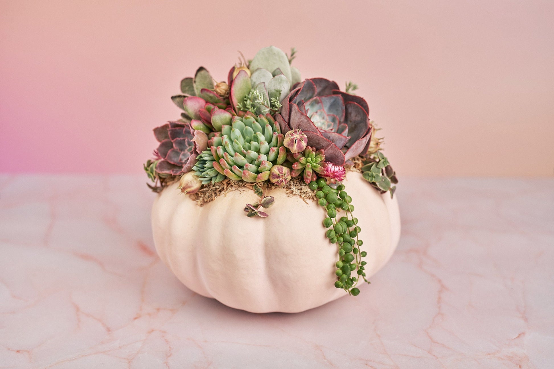 Large Blush Pink Succulent Pumpkin with Dried Floral Accents | Fall Gift for Housewarming & Hosts | Autumn Table Decor| Thanksgiving Table