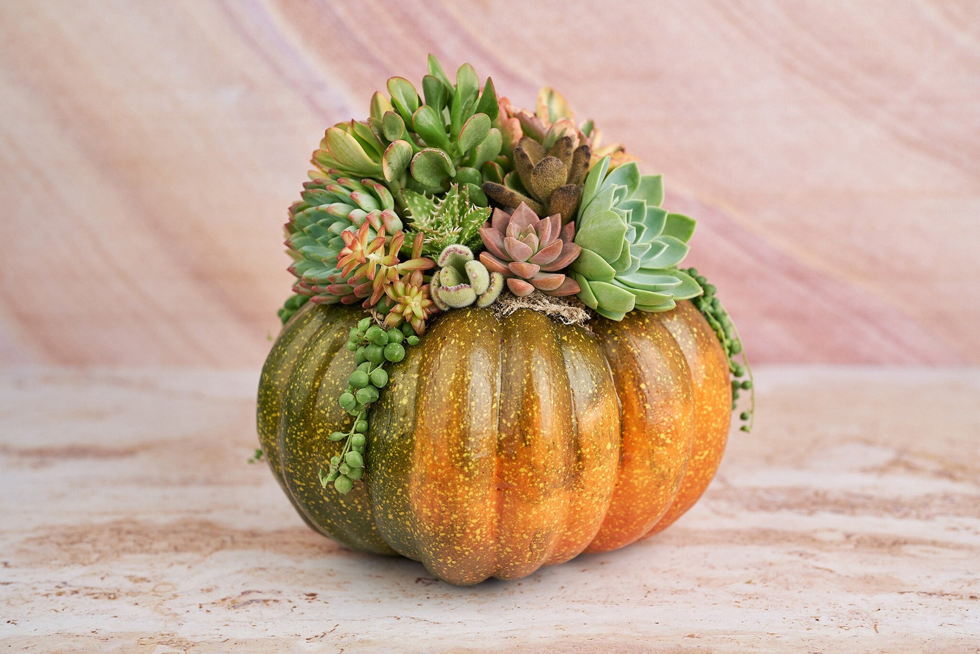 Orange-Green Faux Pumpkin with Living Succulents | Fall Gift for Housewarming & Hosts | Autumn Table Decor | Thanksgiving-Halloween