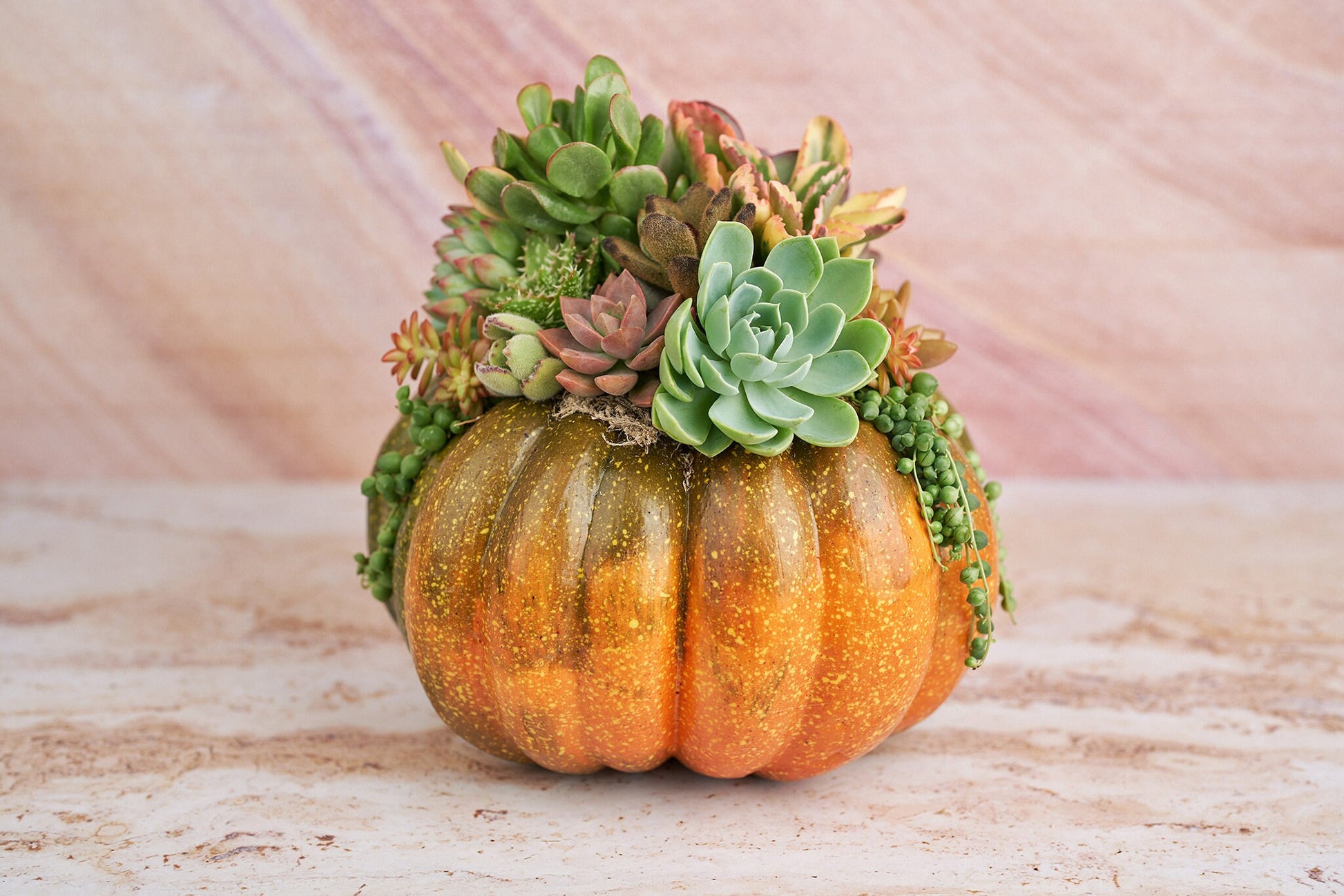 Orange-Green Faux Pumpkin with Living Succulents | Fall Gift for Housewarming & Hosts | Autumn Table Decor | Thanksgiving-Halloween