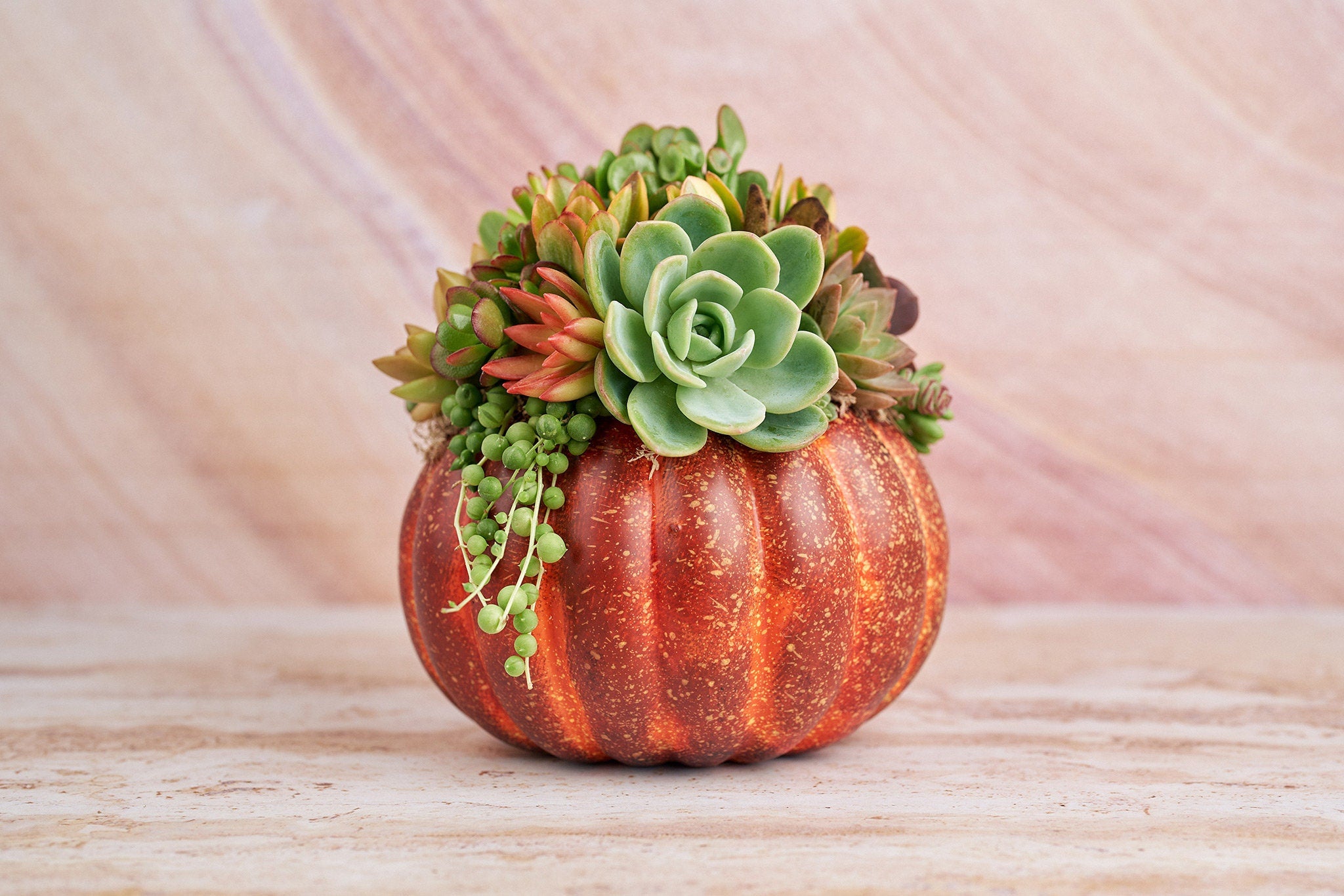 Large Red-Orange Succulent Pumpkin | Fall Gift for Housewarming & Hosts | Autumn Table Decor | Thanksgiving-Halloween Decor