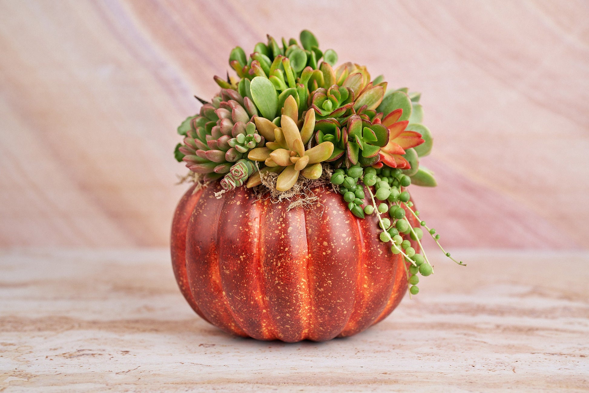 Large Red-Orange Succulent Pumpkin | Fall Gift for Housewarming & Hosts | Autumn Table Decor | Thanksgiving-Halloween Decor