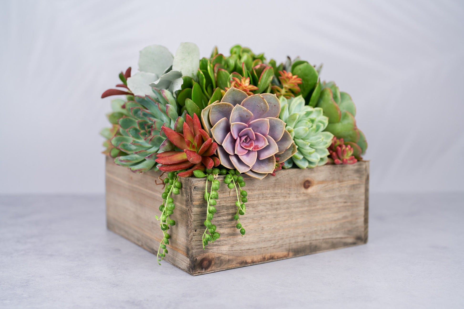 an arrangement of succulents Rustic Wood Square Succulent Arrangement Planter