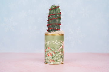 Christmas Cactus Surfing Santa Holiday Can Arrangement | Winter Holiday Gift for Hostess, Housewarming, and Teachers