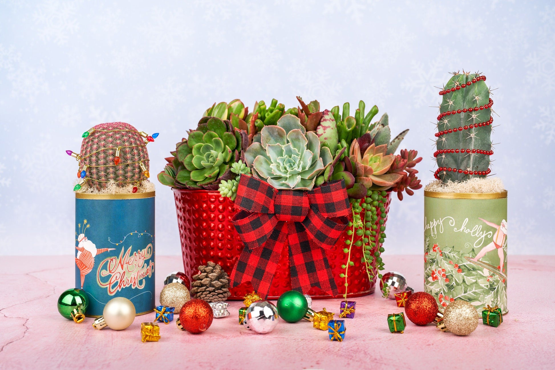 Christmas Cactus Surfing Santa Holiday Can Arrangement | Winter Holiday Gift for Hostess, Housewarming, and Teachers