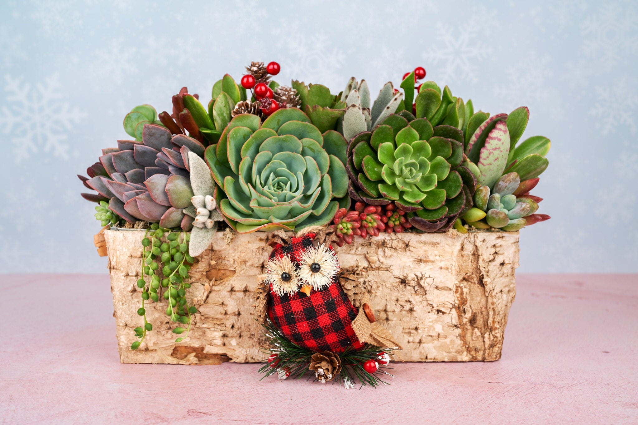 Christmas Owl Holiday Birch Succulent Arrangement Planter: Winter Holiday Centerpiece or Home Decor