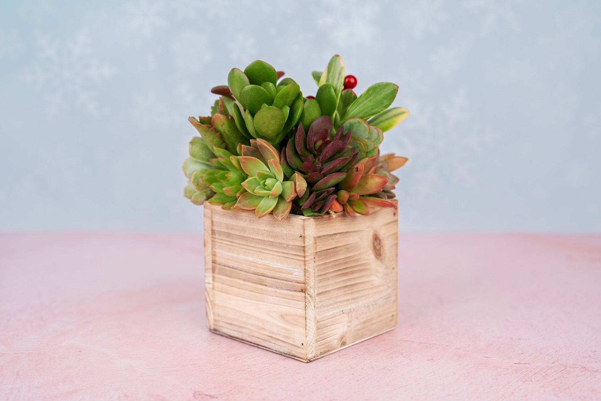 Holiday Festive Wood Rustic Succulent Arrangement with Christmas Decorations: Winter Holiday Centerpiece or Home Decor