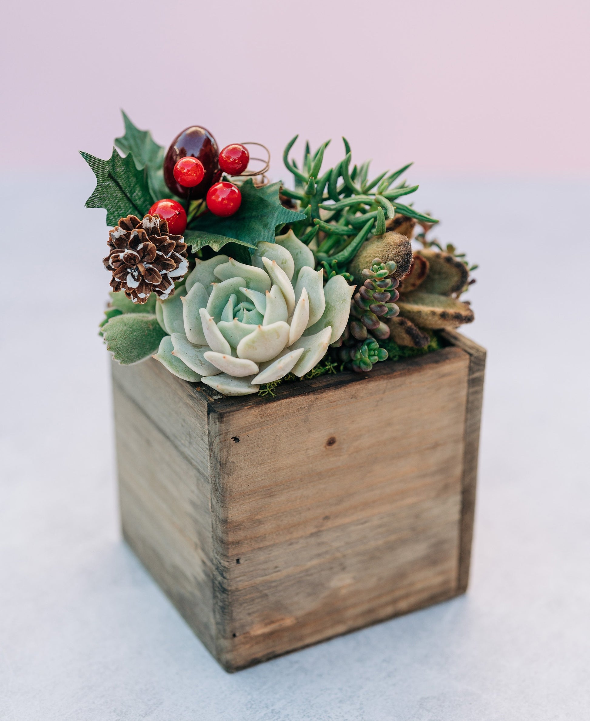 Holiday Festive Wood Rustic Succulent Arrangement with Christmas Decorations: Winter Holiday Centerpiece or Home Decor