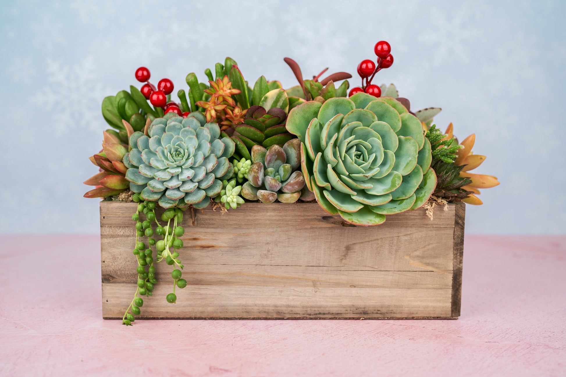 Christmas Rustic Wood Rectangle Succulent Arrangement with Gingerbread Man Ornament: Holiday Centerpiece or Home Decor