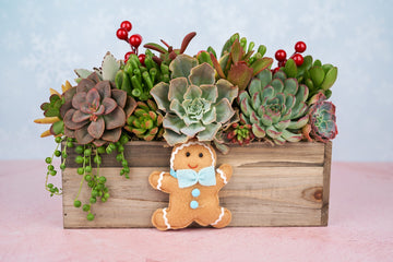 Christmas Rustic Wood Rectangle Succulent Arrangement with Gingerbread Man Ornament: Holiday Centerpiece or Home Decor