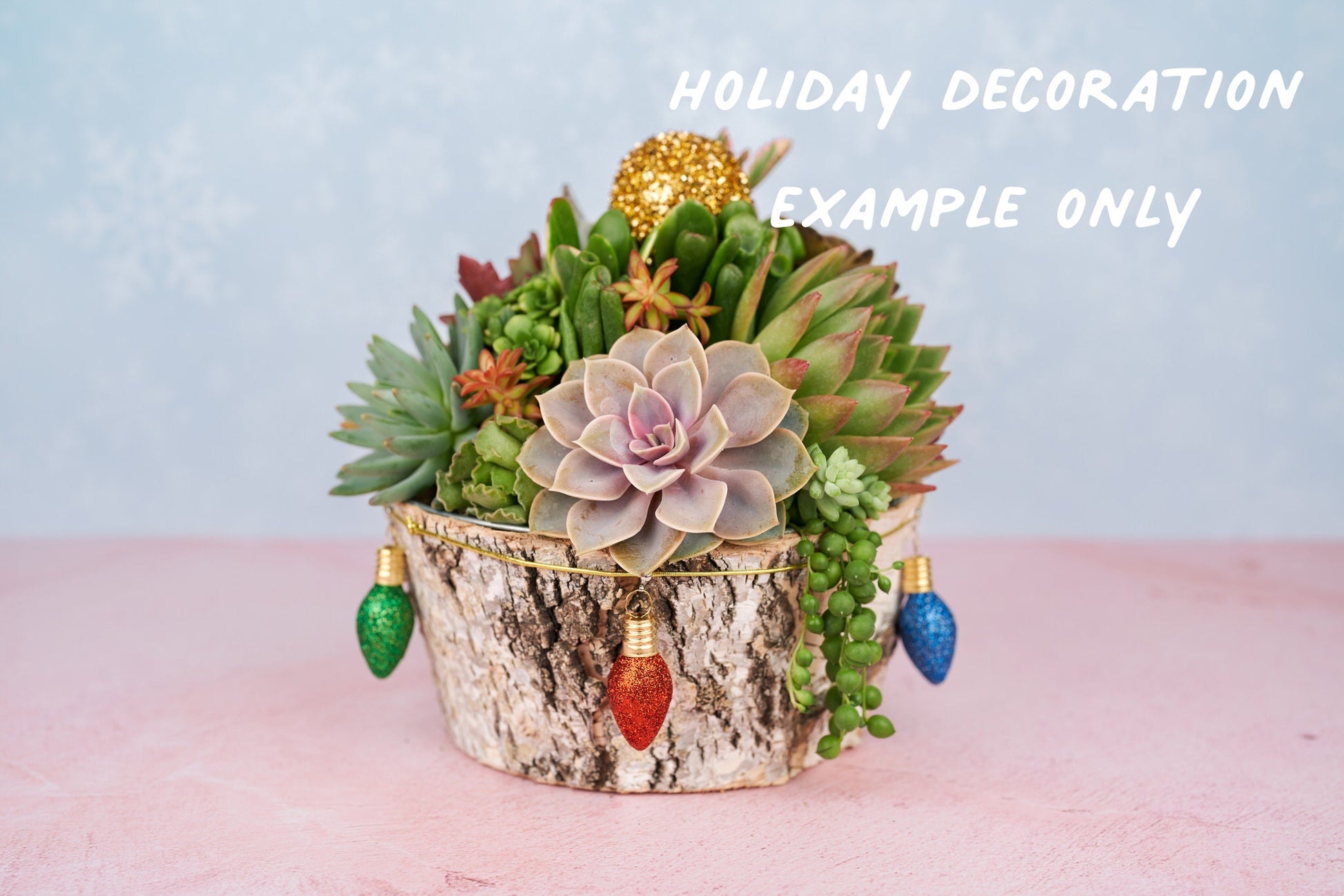 Christmas-Holiday Decoration Add-on | Add Winter Holiday Festive Decor to any Succulent Arrangement: DESIGNERS CHOICE!